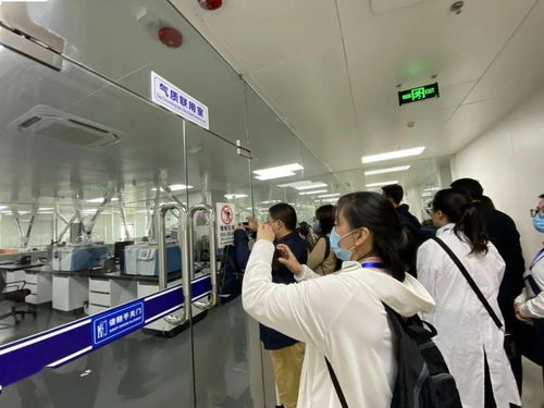 信息技術咨詢服務為落實‘六穩六?！⑷霃妱艅恿?中國-東盟檢驗檢測認證高技術服務集聚區賦能企業騰飛