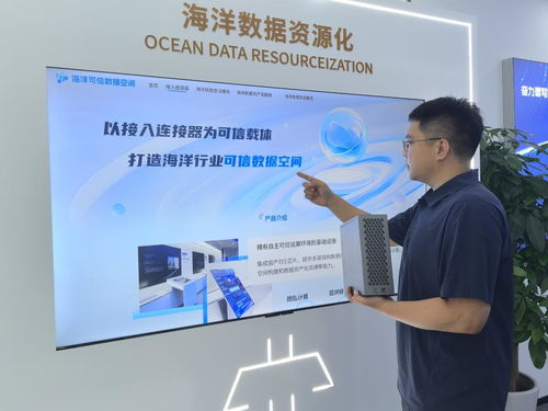 海上新山東 科技興海，信息技術咨詢服務助力蔚藍發展